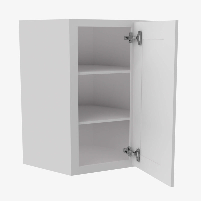 TW-WDC2430 Single Door Cabinets 24 Inch Wall Diagonal Corner Cabinet | Uptown White - image 3