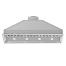 ZLINE 46 in. Ducted Wall Mount Range Hood Insert in Outdoor Approved Stainless Steel (695-304-46)