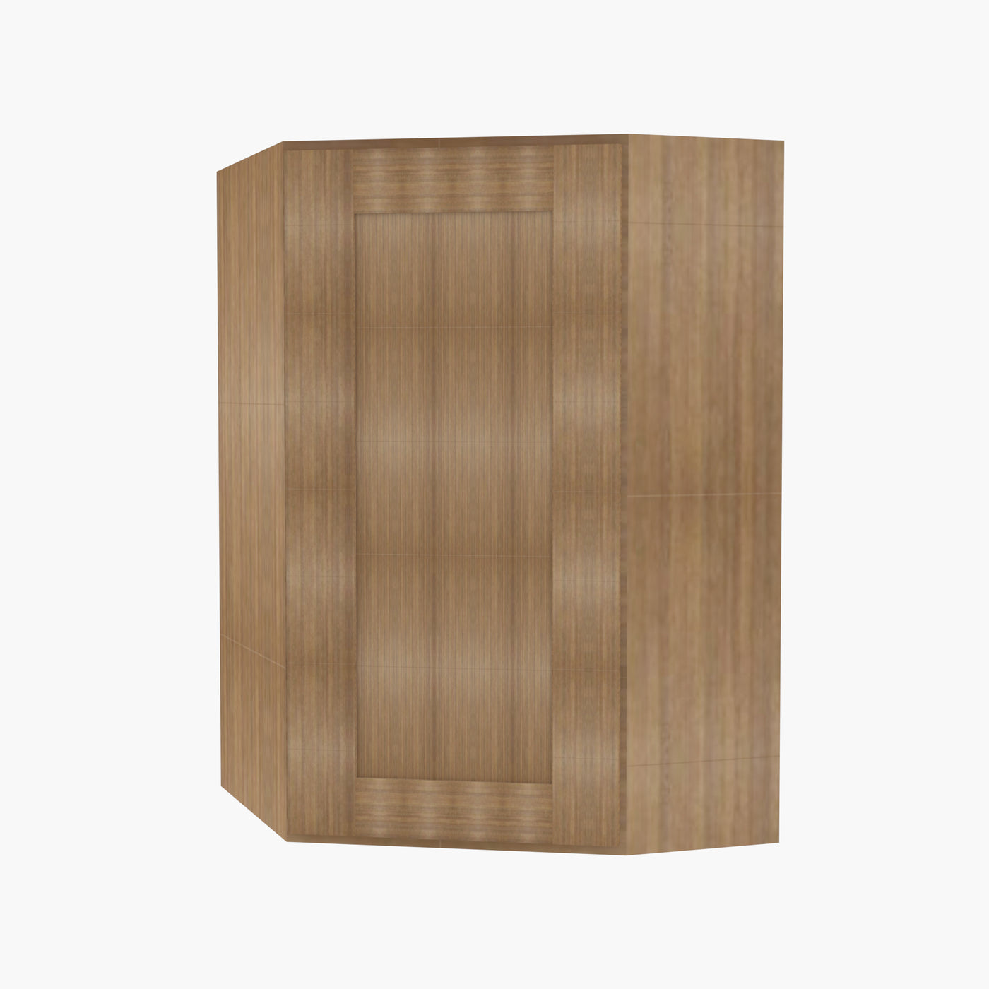 AH-WDC2412 Single Door Cabinets 24 Inch Wall Diagonal Corner Cabinet | Homestead OAK Shaker