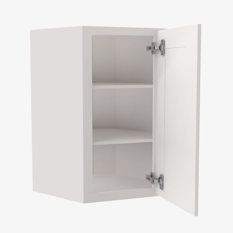 PW-WDC2436 Single Door Cabinets 24 Inch Wall Diagonal Corner Cabinet | Petit White - image 1