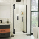 Ascend 32" - 33" W x 72" H Frameless Pivot Shower Door - image 1