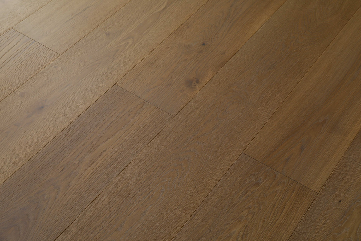 Stella8308