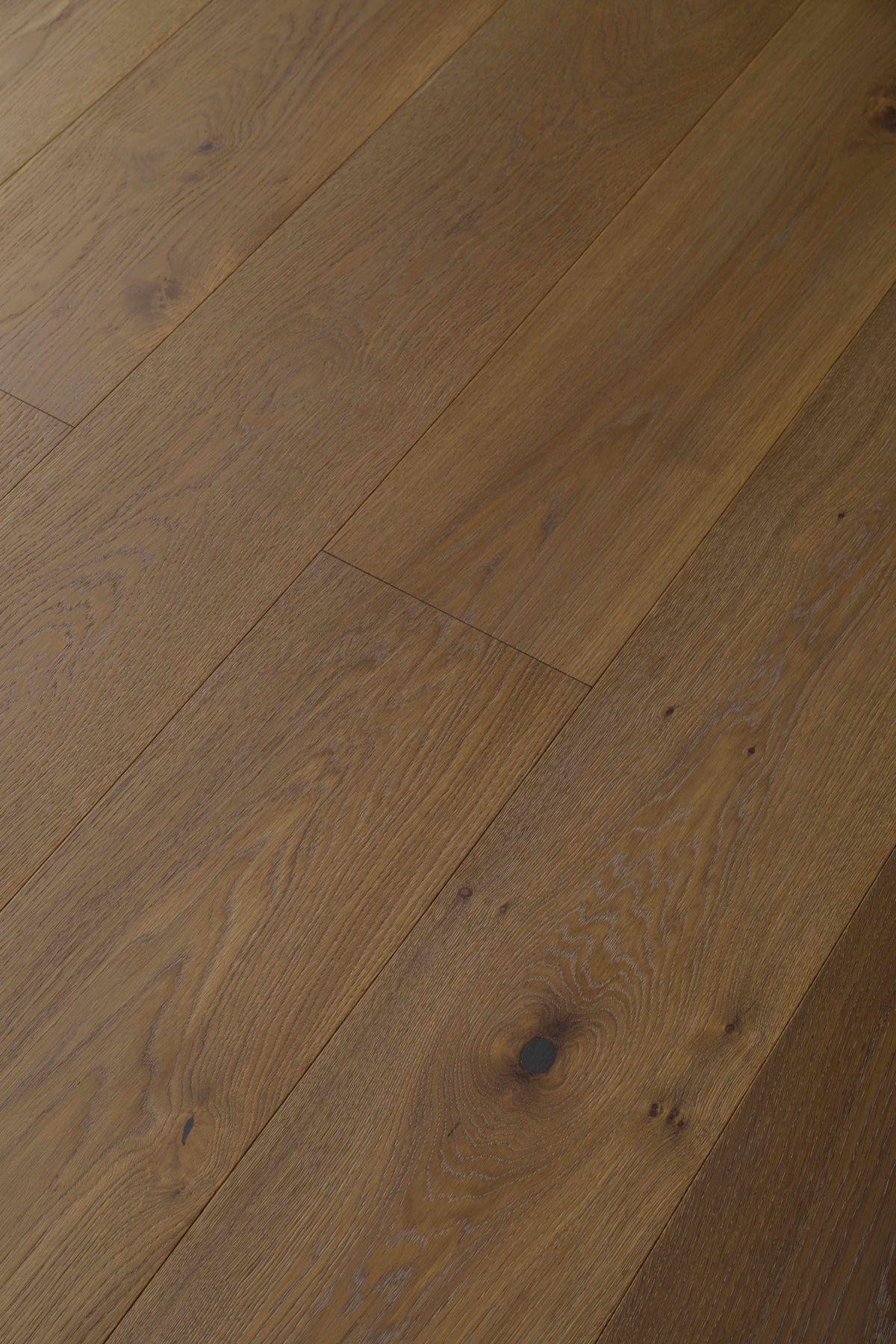 Stella8308