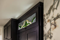 Parriott Elegant Black