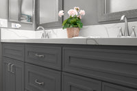 Parriott Elegant Grey
