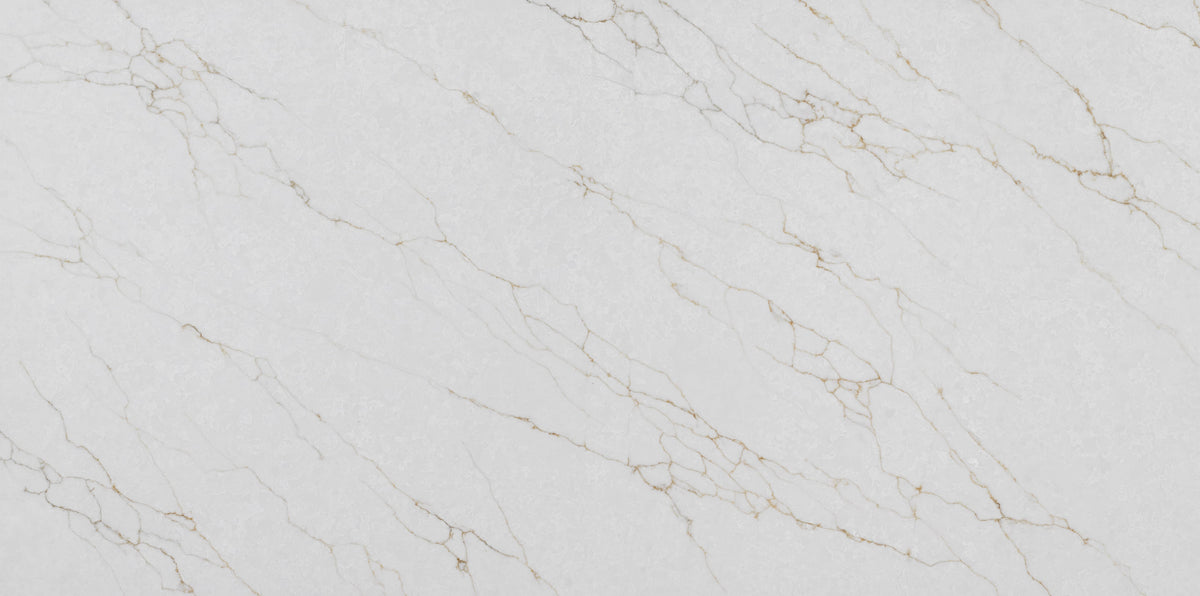 Venation Oro