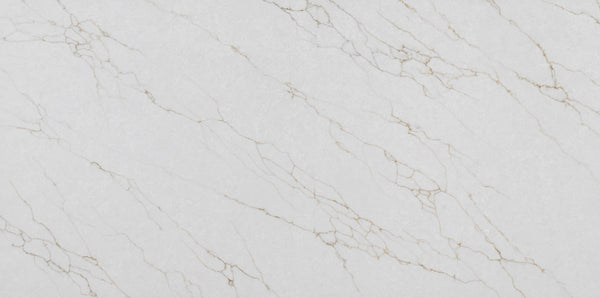 Venation Oro