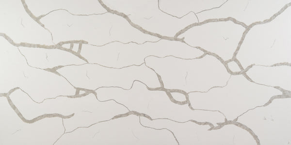 Calacatas White