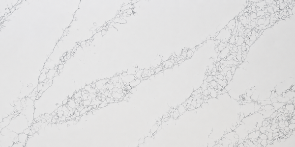 Silver Birch