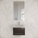 Lucera 24" Wall Mounted Single Basin Vanity Set with Cabinet and Quartz Vanity Top - image 1