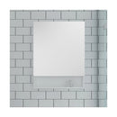 Stella 24" x 31-1/2" Frameless Single Door Medicine Cabinet - image 6