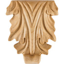 Acanthus Carved Solid Wood Applique Onlay - 4-1/4"H x 3-5/8"W x 3/4"D - image 1