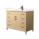Janna 42" Free Standing Single Basin Vanity Set with Cabinet and Quartz Vanity Top - image 1