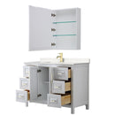 Daria 48" Free Standing Single Basin Vanity Set with Cabinet, Cultured Marble Vanity Top, and Medicine Cabinet - image 2