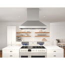 Titan Island 290 - 750 CFM 42 Inch Wide Island Range Hood with Airflow Control Technology and Directional Lighting - image 4