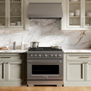 ZLINE 36 in. Convertible Vent Under Cabinet Range Hood in Stainless Steel (523-36)