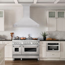 ZLINE 48 in. Stainless Steel Range Hood with Stainless Steel Handle (8654STX-48) in a luxury kitchen.