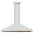 ZLINE Autograph Edition 48 in. Convertible Stainless Steel Range Hood with Stainless Steel Shell and Champagne Bronze Accents (KB4STZ-48-CB) front.