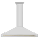 ZLINE Autograph Edition 48 in. Convertible Stainless Steel Range Hood with Stainless Steel Shell and Polished Gold Accents (KB4STZ-48-G) front.
