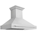 ZLINE 48 in. Stainless Steel Range Hood with Stainless Steel Handle (8654STX-48)