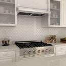 ZLINE 30 in. Ducted Under Cabinet Range Hood in Stainless Steel - Hardwired Power (617-30) above a gas cooktop, side.