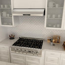 ZLINE 30 in. Ducted Under Cabinet Range Hood in Stainless Steel (621-30)