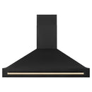 ZLINE 48 in. Black Stainless Steel Range Hood with Polished Gold Handle (BS655Z-48-G) front.