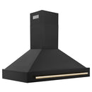 ZLINE 48 in. Black Stainless Steel Range Hood with Polished Gold Handle (BS655Z-48-G) side.
