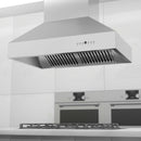 ZLINE 42 in. Ducted Island Mount Range Hood in Outdoor Approved Stainless Steel (697i-304-42)